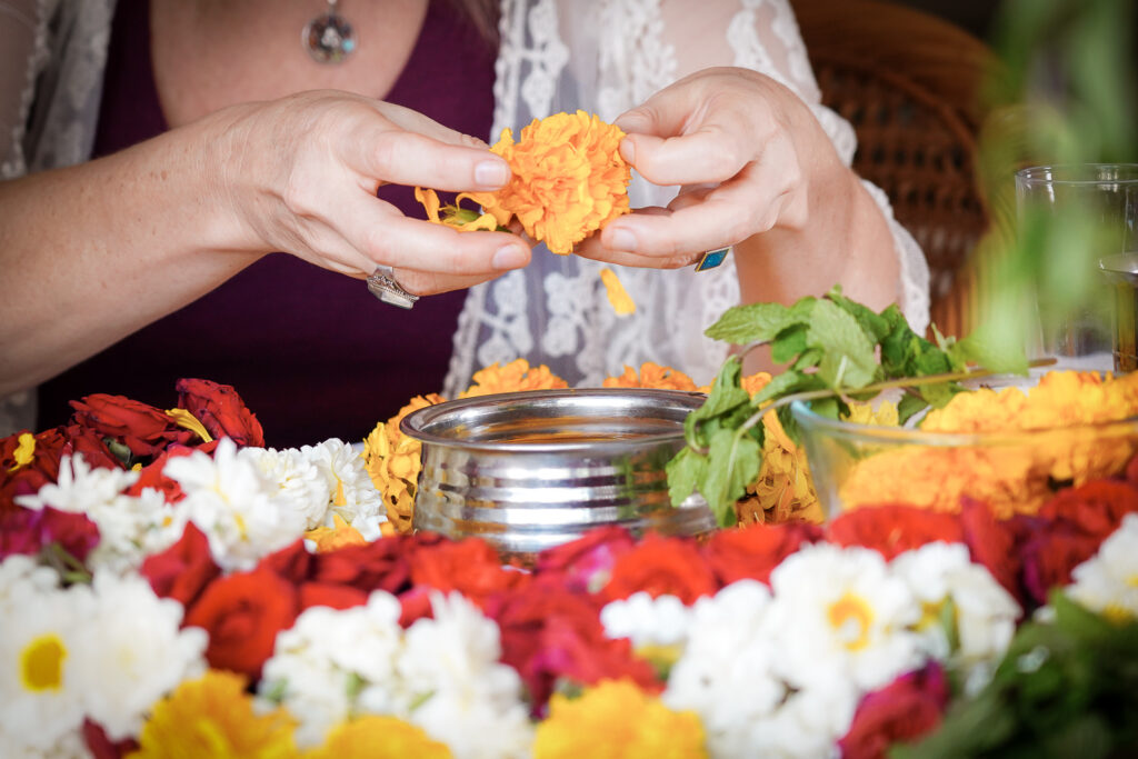 260224IAN03256 Foto Ferdinando Iannone 1 1024x683