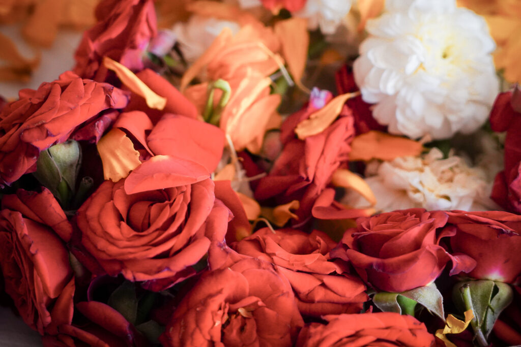 260224IAN03299 Foto Ferdinando Iannone 1 1024x683