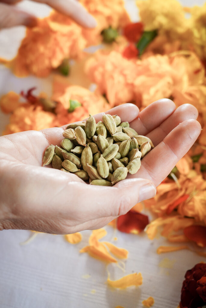 260224IAN03303 Foto Ferdinando Iannone 1 683x1024